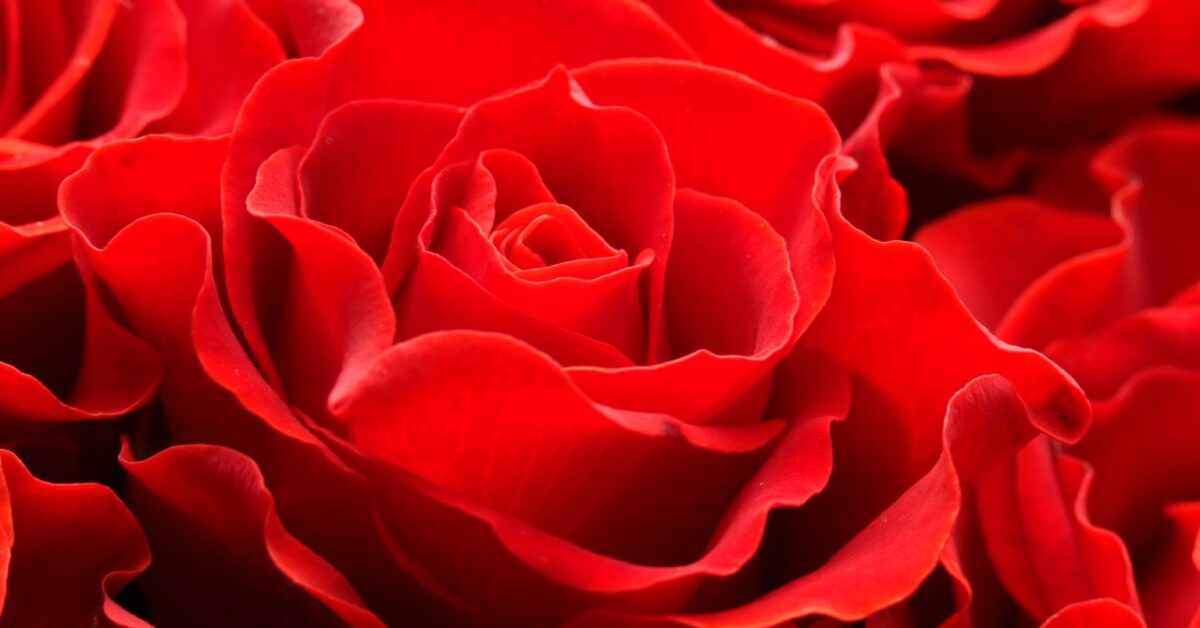 Valentinstagsangebot 2021