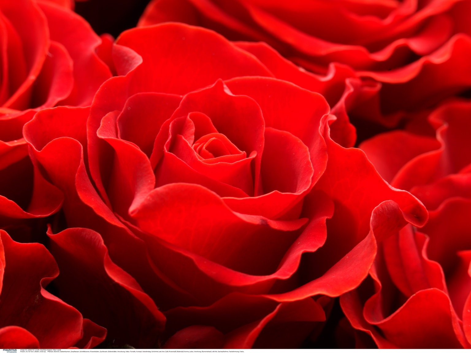 You are currently viewing Valentinstagsangebot 2021